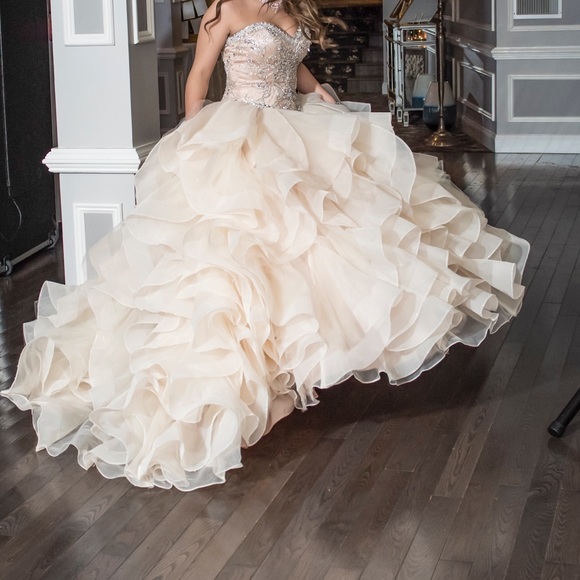 Mori Lee Dresses & Skirts - Mori Lee Vizcaya Ruffled Organza Ball Gown